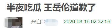 王岳倫就與女子舉止親密道歉是怎么回事？終于真相了，原來是這樣！