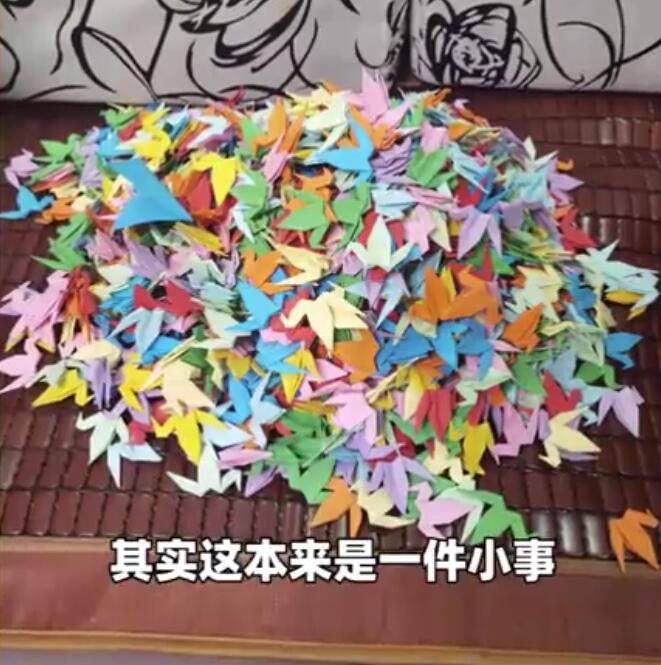 爺爺折千只千紙鶴送奶奶遭嫌棄是怎么回事?什么情況?終于真相了,原來是這樣!