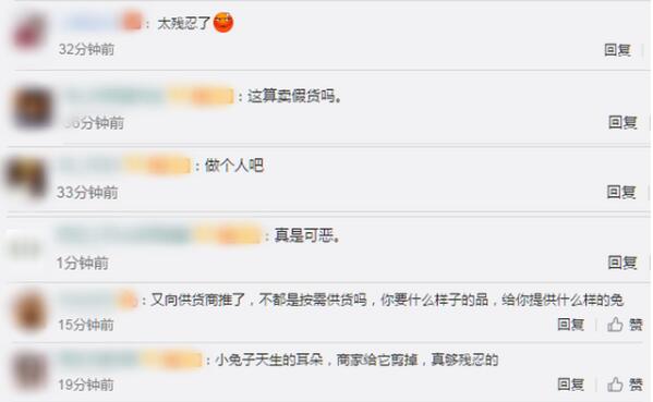 寵物店回應(yīng)為抬價(jià)剪兔耳是怎么回事？終于真相了，原來(lái)是這樣！