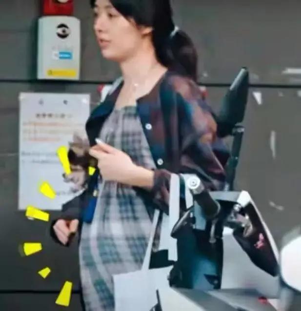向佐郭碧婷再次申請注冊結婚什么情況？具體是怎么回事？