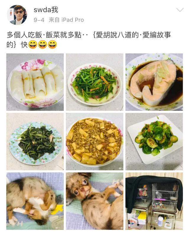 向佐郭碧婷再次申請注冊結婚什么情況？具體是怎么回事？