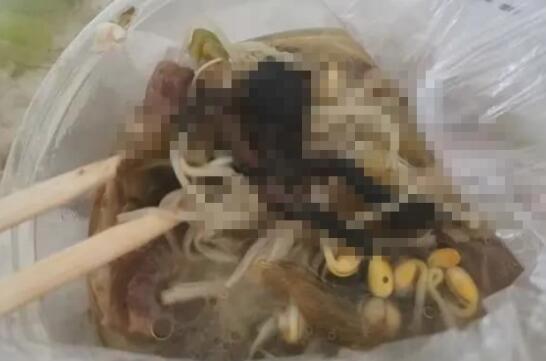 窒息!女子點外賣里面竟有只癩蛤蟆是怎么回事?具體什么情況?