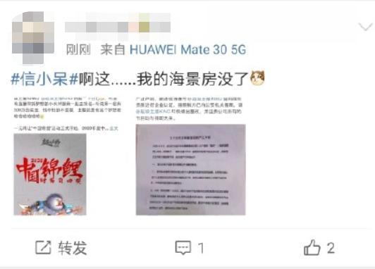 難洗白了！信小呆致歉說了什么？具體是什么情況？