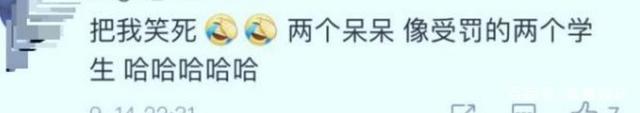 【吃瓜圍觀】竇驍帶何超蓮回西安老家好事將近？具體是怎么回事？