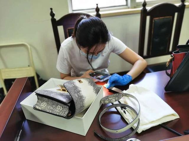 震驚！90后女出納入職一年貪720余萬 隨手一個包就值20萬