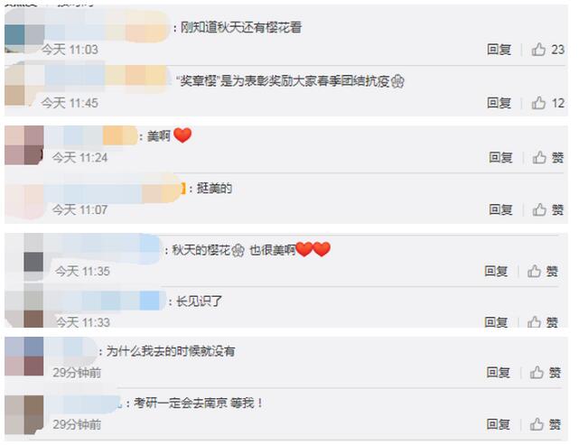 太美了！南京玄武湖秋季櫻花開了，中文得名“獎章櫻”