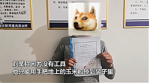 【驚呆了】男子靠手捧三晚偷走1200斤玉米來回2400多趟