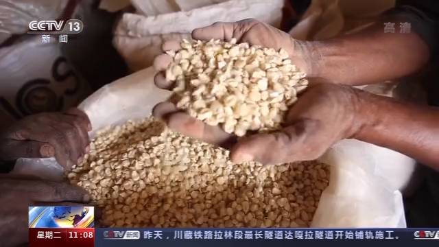 坦桑尼亞村民：中國技術讓我們過上了好日子