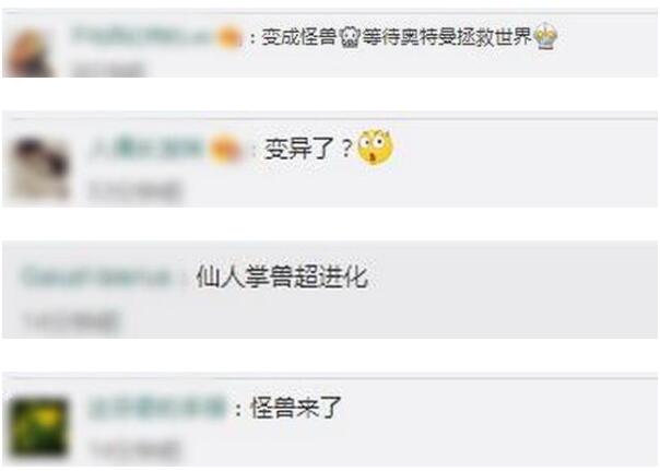 仙人掌獸？日本街頭仙人掌長到3層樓高
