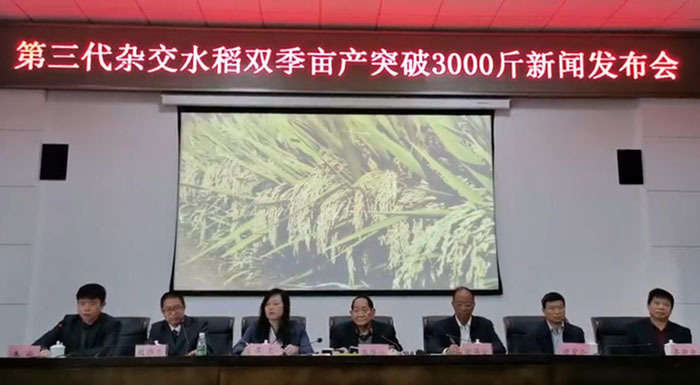 雙季畝產(chǎn)突破3000斤后 袁隆平又定下兩個(gè)“小目標(biāo)”