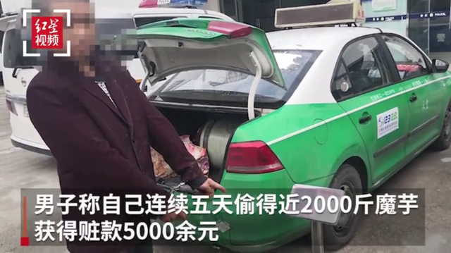 奇葩！綿陽北川縣一男子為打賞女主播偷2000斤魔芋