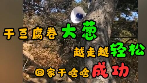 干豆腐卷大蔥，越走越輕松!景區(qū)商家喇叭硬核給爬山游客鼓勁