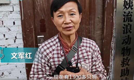 68歲老人收養(yǎng)了1300只流浪動物，花光積蓄后把女兒房子也賣了