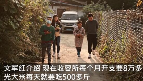 68歲老人收養(yǎng)了1300只流浪動物，花光積蓄后把女兒房子也賣了