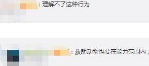 68歲老人收養(yǎng)了1300只流浪動物，花光積蓄后把女兒房子也賣了