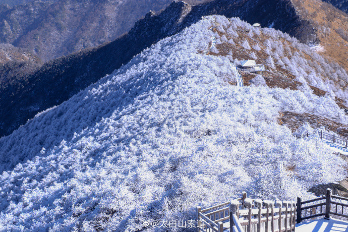 冰雪奇緣!秦嶺太白山雪后霧凇美景 仿佛置身冰雪童話世界