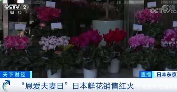 【圍觀】超4成日本年輕女性不結(jié)婚不戀愛(ài)，新婚夫婦可領(lǐng)4萬(wàn)元補(bǔ)貼