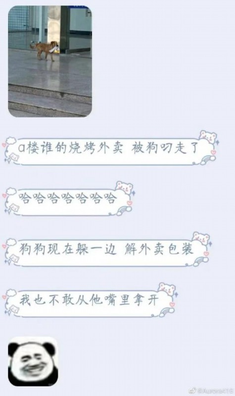 學校表白墻能有多好笑？網友：大學生生活指南建議加一條：防火防盜防狗子