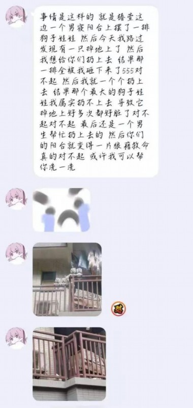 學校表白墻能有多好笑？網友：大學生生活指南建議加一條：防火防盜防狗子