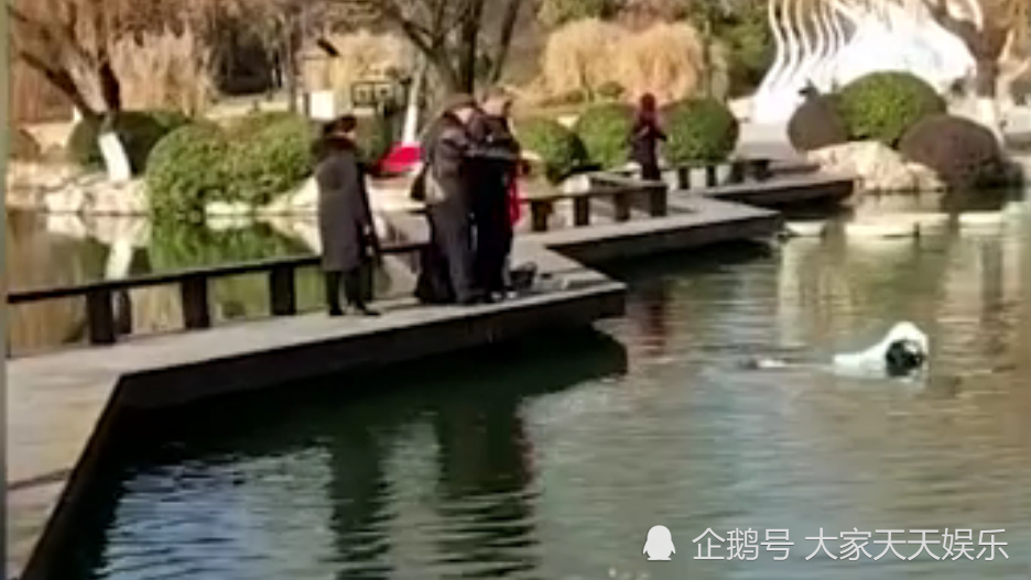 羽絨服還能“救命”？徐州一女子踩空墜湖，因羽絨服漂浮被救