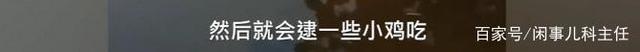 安徽女子河邊洗碗遇野生揚子鱷 網友：感覺還挺可愛