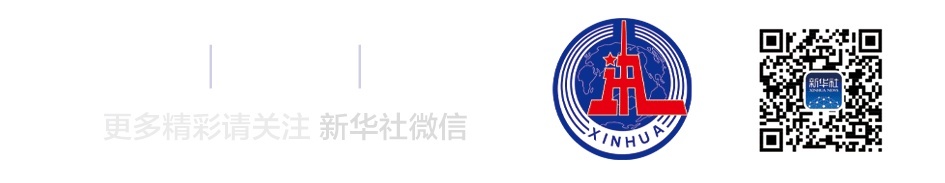 竟有人開發模擬健康碼軟件？警方抓獲仿造健康碼軟件開發者