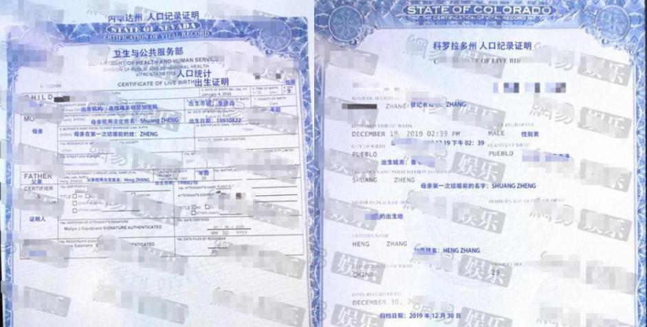 中央政法委批鄭爽代孕棄養 鉆法律空子，這絕不是無辜！