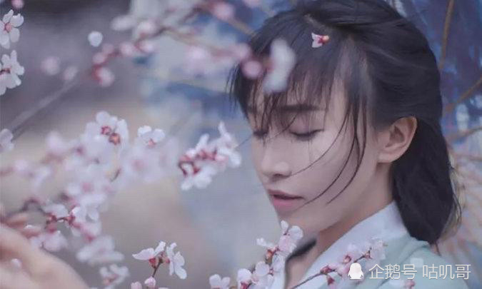 李子柒刷新YouTube訂閱量吉尼斯世界紀(jì)錄 小姐姐厲害了