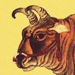 俄羅斯放出大招，西方人看得羨慕嫉妒恨！