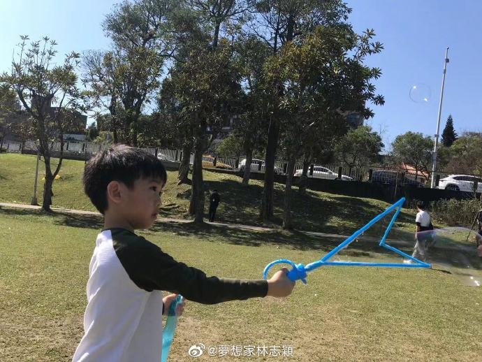 林志穎帶雙胞胎兒子公園野餐 兄弟倆草坪吹泡泡顏值高