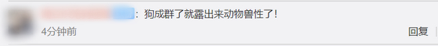 厲害了打工鵝!4只黑狗圍攻1只大鵝結果被翻盤