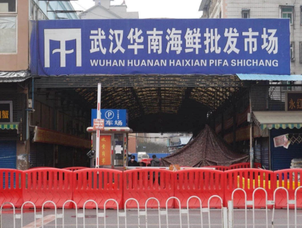 武漢調(diào)查有了結(jié)果，美國該是下一站