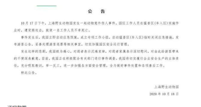飼養員被熊群攻擊遇難 上海野生動物園回應：極為痛心