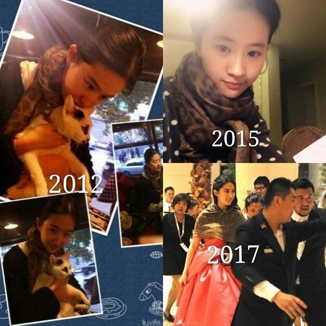 勤儉持家！劉亦菲拍戲的椅子用了18年，還有用了10年的羽絨服及9年的圍巾