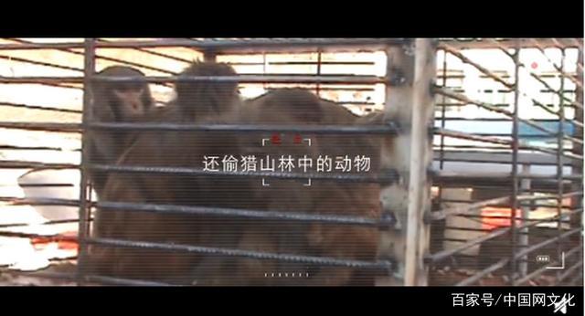 丁真和檢察官拍了支公益宣傳片，為何突然刷爆朋友圈？