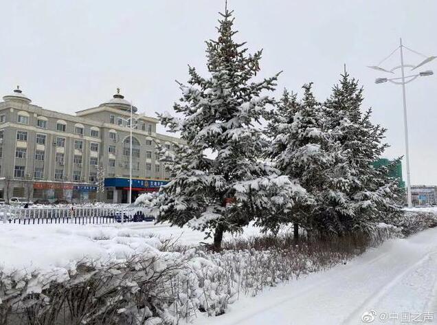 呼倫貝爾4月大雪紛飛！現場圖讓網友迷茫了：再過兩個月都入夏了