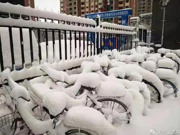 呼倫貝爾4月大雪紛飛！現場圖讓網友迷茫了：再過兩個月都入夏了