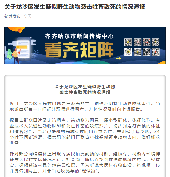 官方回應齊齊哈爾疑似發現野狼說了什么？究竟是啥情況？