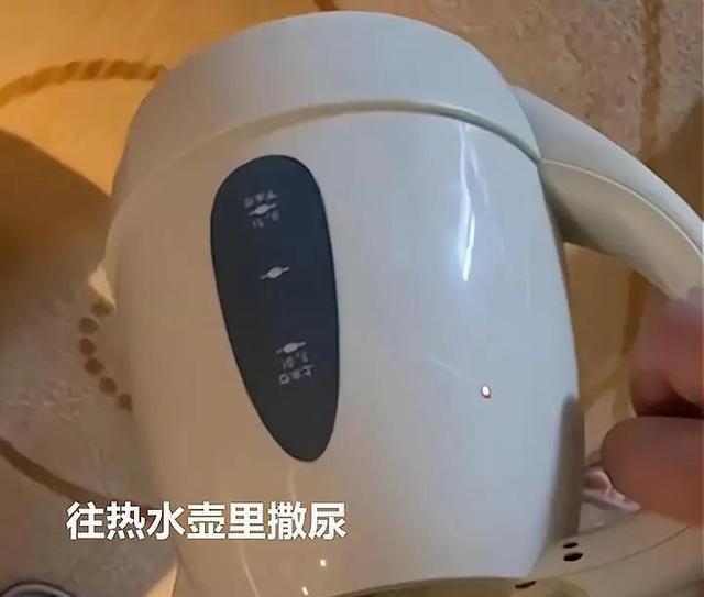令人氣憤！主播回應(yīng)在酒店熱水壺中撒尿 稱誰能喝到是福氣