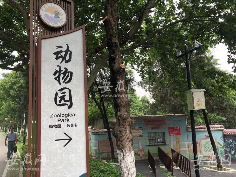 安徽蚌埠一動物園飼養員遭老虎襲擊 不幸身亡