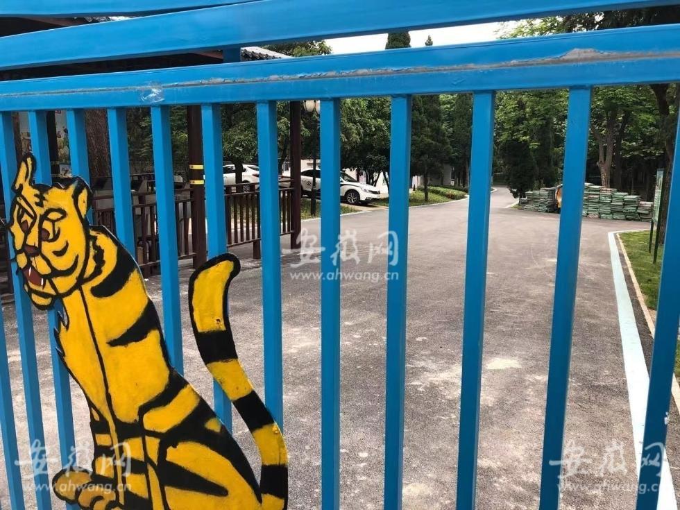 安徽蚌埠一動物園飼養員遭老虎襲擊 不幸身亡