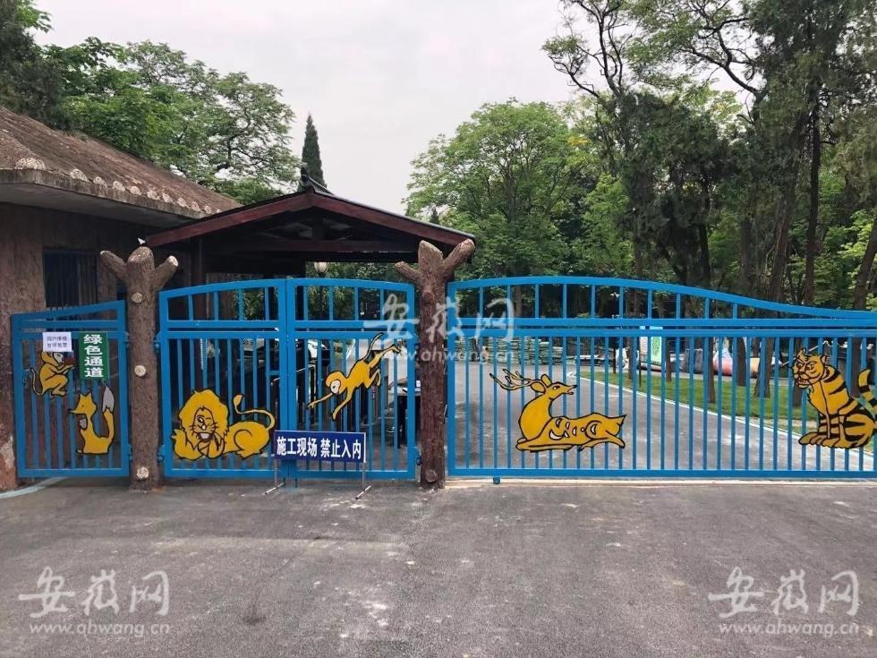 安徽蚌埠一動物園飼養員遭老虎襲擊 不幸身亡