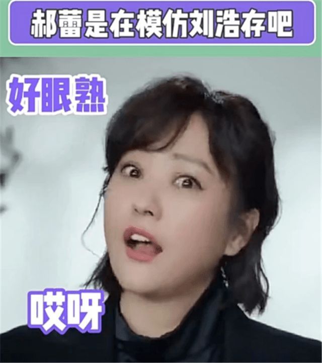 郝蕾被質(zhì)疑諷刺劉浩存演技 本尊回應(yīng):兩人并不相識(shí)