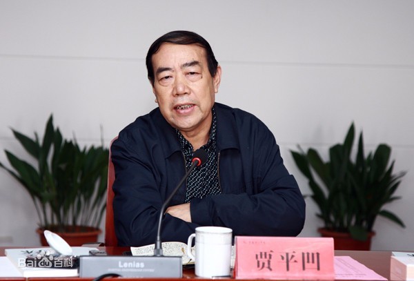 央媒評賈淺淺爭議：文學不該世襲 賈淺淺是誰？
