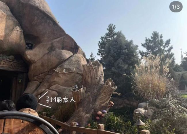 孫儷攜兒女游迪士尼 被曝豪擲33萬辦樂園會員卡