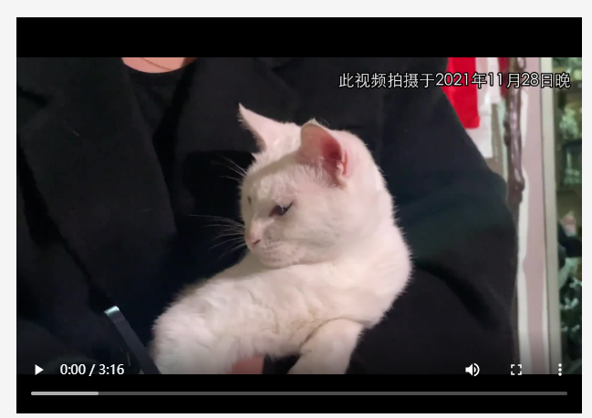 《當家主母》劇組虐貓？造謠者被判7個月！