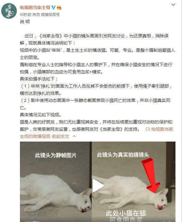 于正新劇陷虐貓風波 網曝他曾被經紀人斥利欲熏心