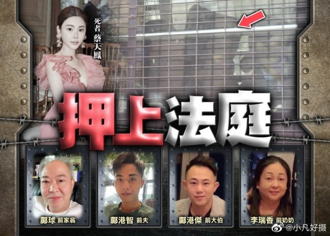 名媛蔡天鳳被殺案將5月8日再審