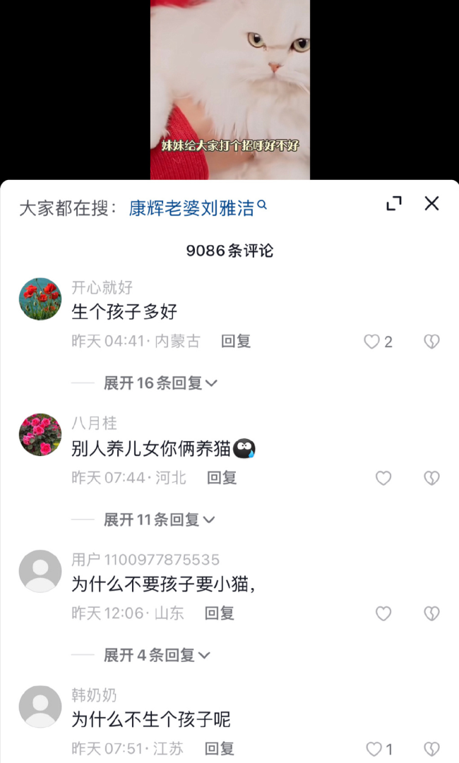 主持人康輝稱在貓身上感受到“被需要”
