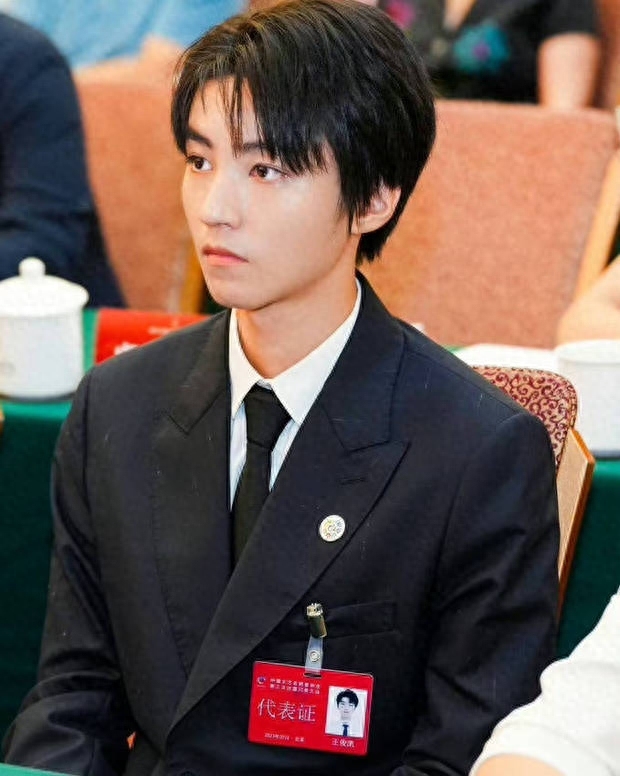 中國文藝志愿者第3次代表大會開幕 周迅黃渤等參會